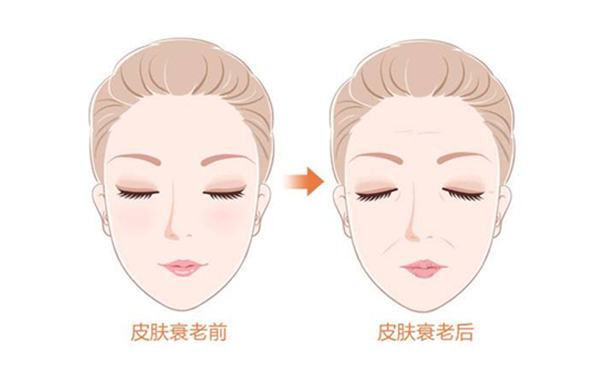 美容院高價值的美容美體項目介紹