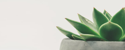 蘆薈膠涂完可以直接睡覺嗎