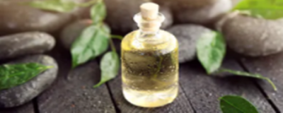 0054034111308 茶油可以用來涂臉嗎