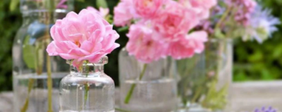 0115352311308 怎樣去除細紋