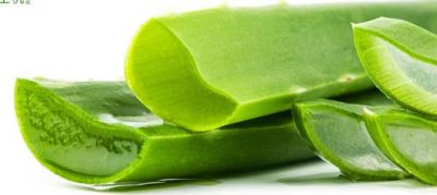 蘆薈膠可以補水保濕嗎