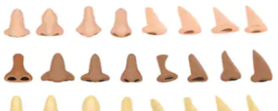 0801489711308 如何使鼻梁增高