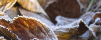 晚上擦面霜容易悶痘嗎