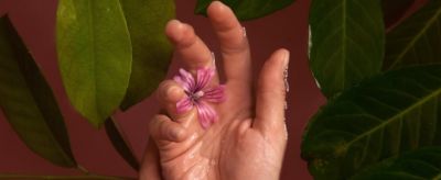 0906099411310 脫皮怎么辦