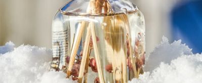 0928146911310 玫瑰精油的使用方法