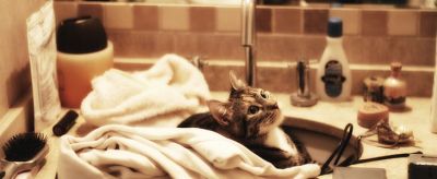 1053575111310 面霜的正確使用方法