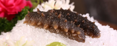 1140595011308 怎樣發海參