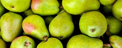 喝烏龍茶可以減肥嗎