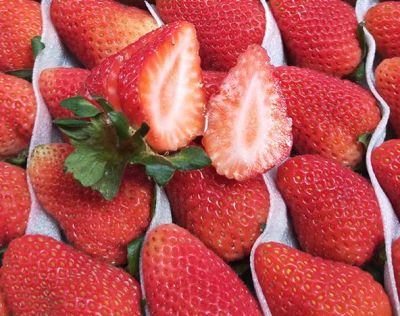 1236097811311 小孩臉上有斑怎么祛斑