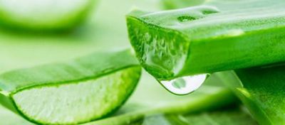 1240267611311 臉部脫皮起皮可以用蘆薈膠嗎