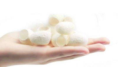 天然去黑頭蠶繭有沒有用