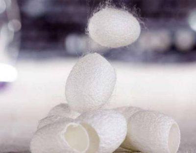 天然去黑頭蠶繭有沒有用