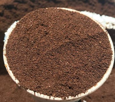 1305277011311 咖啡渣可以去黑眼圈嗎