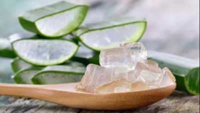 1319546111311 橄欖油加蘆薈有什么護膚作用