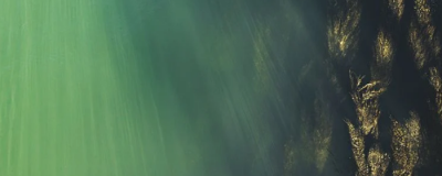 1404384311308 海藻面膜能祛痘嗎