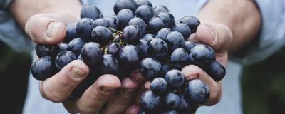 維生素e能祛痘嗎