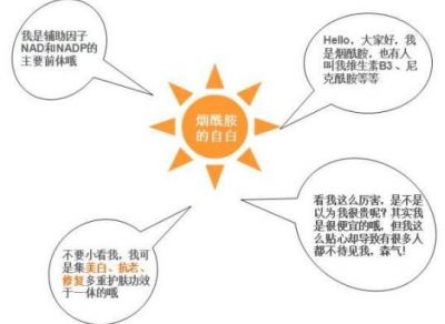 1448489311311 長期用煙酰胺有什么危害