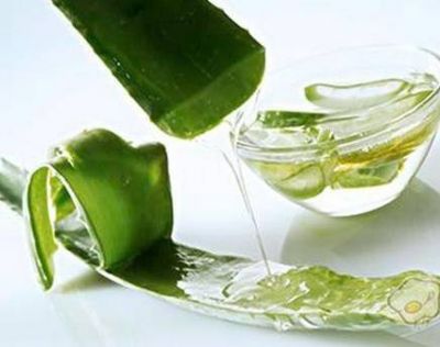 新鮮的蘆薈汁可以直接涂抹在臉上嗎