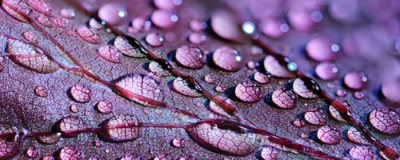 1701058611308 精油的副作用有哪些