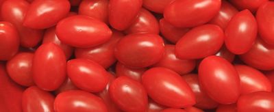 吃小番茄可以減肥嗎