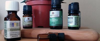 茶樹精油的使用方法