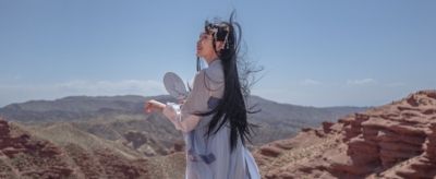 1809328111310 簪子怎么用