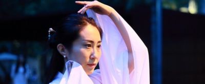 1809335211310 簪子怎么用