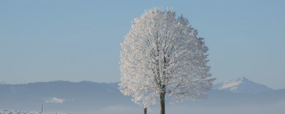 冬天為什么使用面霜