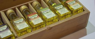 2056131611310 怎樣用橄欖油護發