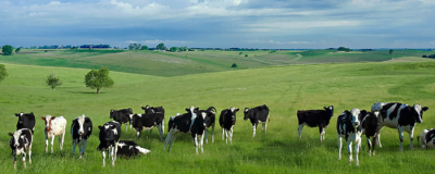 天然美白方法有哪些