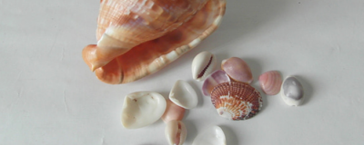 天然美白方法有哪些