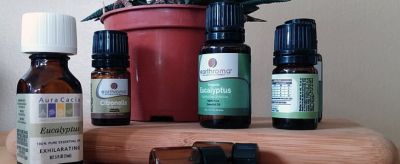 復方精油的正確使用方法