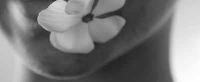 2315067911310 下巴長痘痘是什么原因