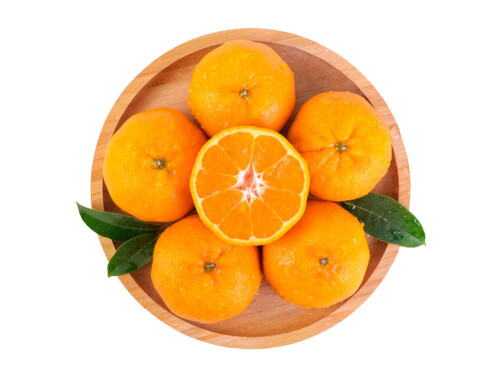 16396453274550192819 椪柑什么時候成熟