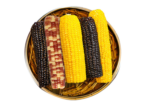 十大減肥食物排行榜