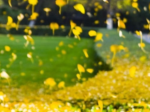 8_2018123132743553_4