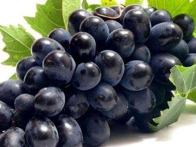 8_2019328173441875_4 美容養顏的水果